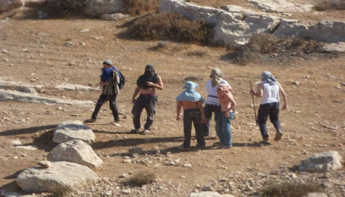 مستوطنون يعتدون على عائلة فلسطينية وجيش الاحتلال يعتقل 4 أشقاء