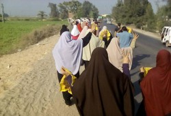 ثوار البحيرة يدشنون أسبوع “رابعة قصة وطن”