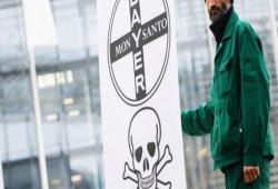 289 مليون دولار تعويضًا لبستانيّ أصيب بالسرطان