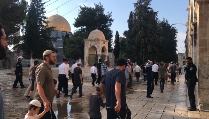 80 مستوطنًا يقتحمون المسجد الأقصى
