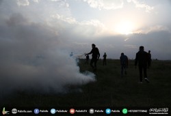"عائدون رغم أنفك يا ترمب".. مسيرة العودة في جمعتها الـ24