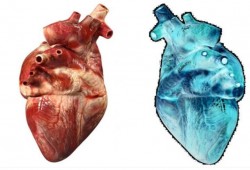 قلب رقمي للمساعدة بمتابعة مرضى القلب