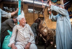 الانقلاب يصدر قانونا جديدا يقيد حرية ممارسة الأنشطة الاقتصادية