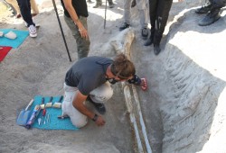 عمرها 7.5 مليون عام.. علماء أتراك يعثرون على أكبر أحافير العالم