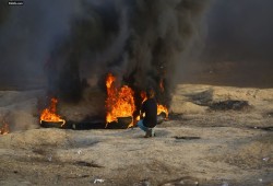 شهيد وعشرات الإصابات بقمع الاحتلال المتظاهرين شرق القطاع