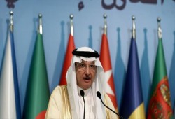 "التعاون الإسلامي" تتطلع لتحقيق تجربة "مانديلا" باليمن والعراق وسوريا