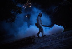 السودان.. مخاوف من انتقال مرض"الشيكونغونيا" إلى 15 ولاية