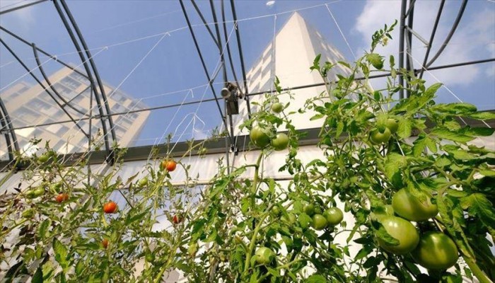 حدائق على أسطح مبان في باريس