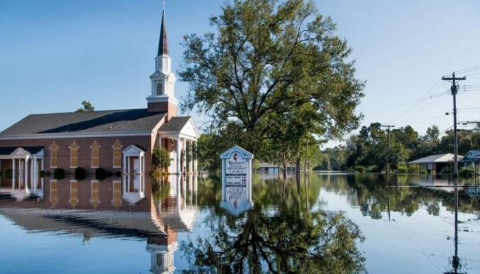 بعوض عملاق بكارولينا الشمالية بعد إعصار فلورنسا