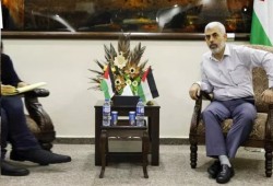 الصحفية الإيطالية تكذّب يديعوت: السنوار لم يتحدث لكم