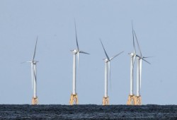 دراسة: طواحين الهواء.. موفرة للطاقة مضرة بالبيئة