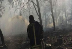 معاريف: 1100 حريق في "غلاف غزة" منذ نهاية مارس الماضي