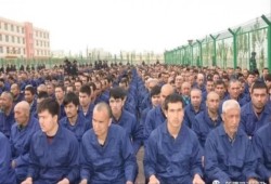 الصين تعامل مواطنيها المسلمين كقطعان بحظائر