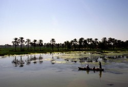 ارتفاع حالات التسمم بالمياه في البصرة إلى 118 ألف حالة