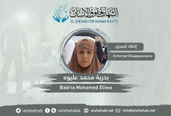 مليشيات السيسي تخفي مسنة منذ 7 أيام بالأمن "الوطني"