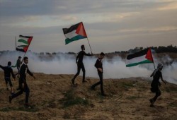إصابة 75 متظاهرا فلسطينيًا برصاص الجيش الإسرائيلي شرقي غزة