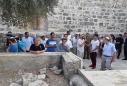 118 صهيونيًّا يقتحمون باحات المسجد الأقصى