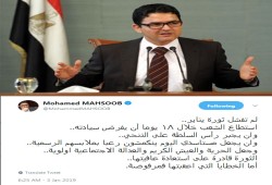محسوب: ثورة يناير قادرة على استعادة عافيتها