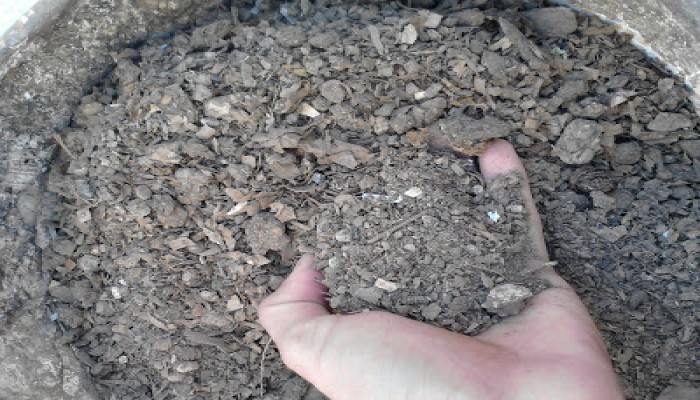 منشأة تركية تجمع مخلفات المطاعم والمقاهي لإنتاج السماد الطبيعي