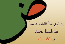 "حماية اللغة العربية": خطوة أخرى لتمكين الضاد