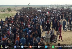 الآلاف يتوافدون لمخيمات العودة في الجمعة الـ 43 لمسيرات العودة