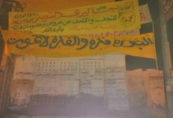 بالصور| “الثورة هى الحل”.. لافتات تُغرق البحيرة