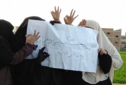 ثوار الدقهلية يواصلون نضالهم في الذكرى الثامنة لثورة يناير