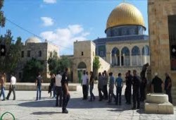 43 صهيونيا يقتحمون المسجد الأقصى