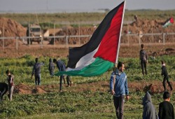 شهيدان و17 إصابة برصاص الاحتلال شرقي القطاع