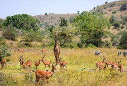 دراسة: لون الأرض سيتغير بعد 80 عاما