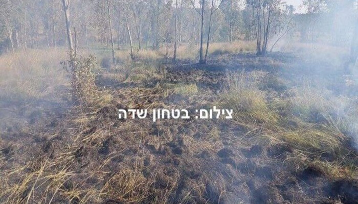 حرائق في مستوطنة بـ"غلاف غزة" بفعل بالونات العودة