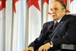 "الموندو": هل استنسخت الجزائر سيناريو التضحية بمبارك؟