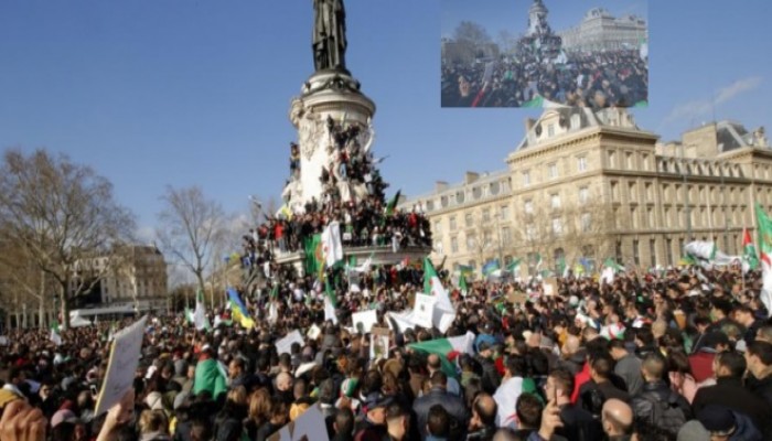 “لا تبرحوا جبل الرماة”.. أفضل ما نصح به المصريون إخوتهم في الجزائر