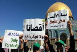 دعوات للتصدي للمستوطنين الخميس والنفير للأقصى الجمعة