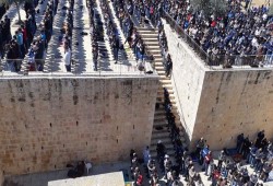 أداء صلاة الغائب بالأقصى على ضحايا المذبحة الإرهابية في نيوزلندا