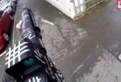 هجوم نيوزيلندا.. ما هي دوافع المجرم ومن هو المسؤول؟