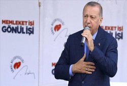أردوغان ينتقد سيناتورا أستراليا هاجم المسلمين بعد مذبحة نيوزيلندا