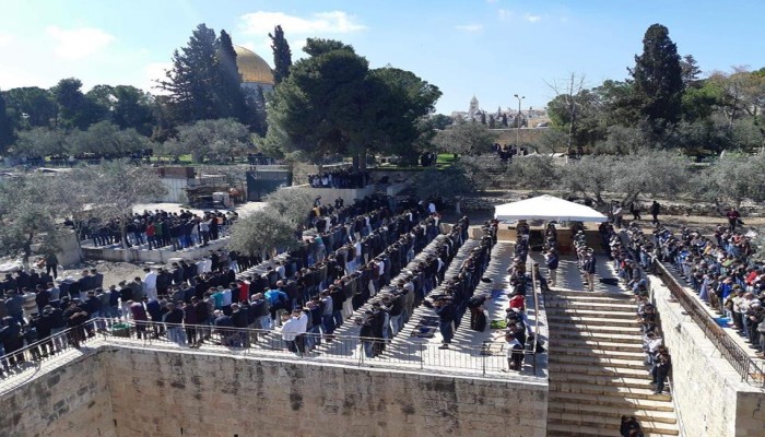 40 ألفًا يؤدون الجمعة في الأقصى
