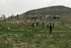 دعوات واسعة للانتفاض في يوم الأرض