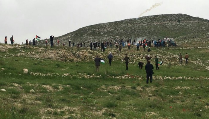 دعوات واسعة للانتفاض في يوم الأرض