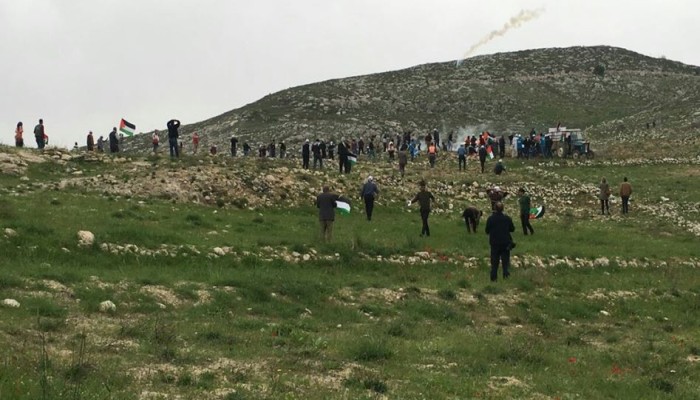 دعوات واسعة للانتفاض في يوم الأرض