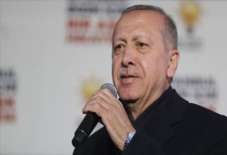 أردوغان: العربية لغة دولية وإحدى لغات الأمم المتحدة الرسمية