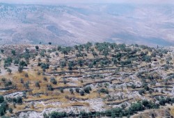 مخطط صهيوني لتوطين ربع مليون مستوطن بالجولان السوري المحتل