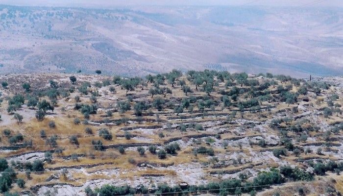 مخطط صهيوني لتوطين ربع مليون مستوطن بالجولان السوري المحتل