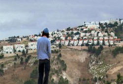 "العاد" الاستيطانية تستولي على 550 دونما في القدس