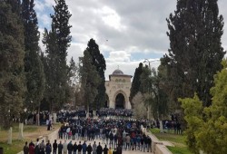 شرطة الاحتلال تعتقل أحد حراس الأقصى عقب اعتدائها عليه