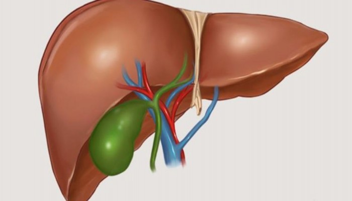 5 عوامل تؤثر سلبا في صحة الكبد