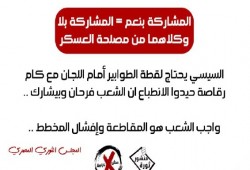 الثوري المصري: مقاطعة الاستفتاء سلاح قوي في ترسانة العصيان المدني