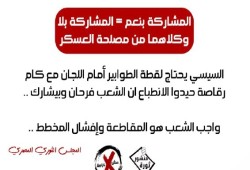 الثوري المصري: مقاطعة الاستفتاء سلاح قوي في ترسانة العصيان المدني