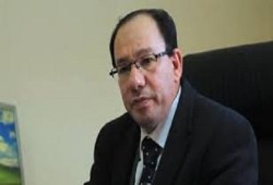 قرود فوق شجرة التعديلات الدستورية